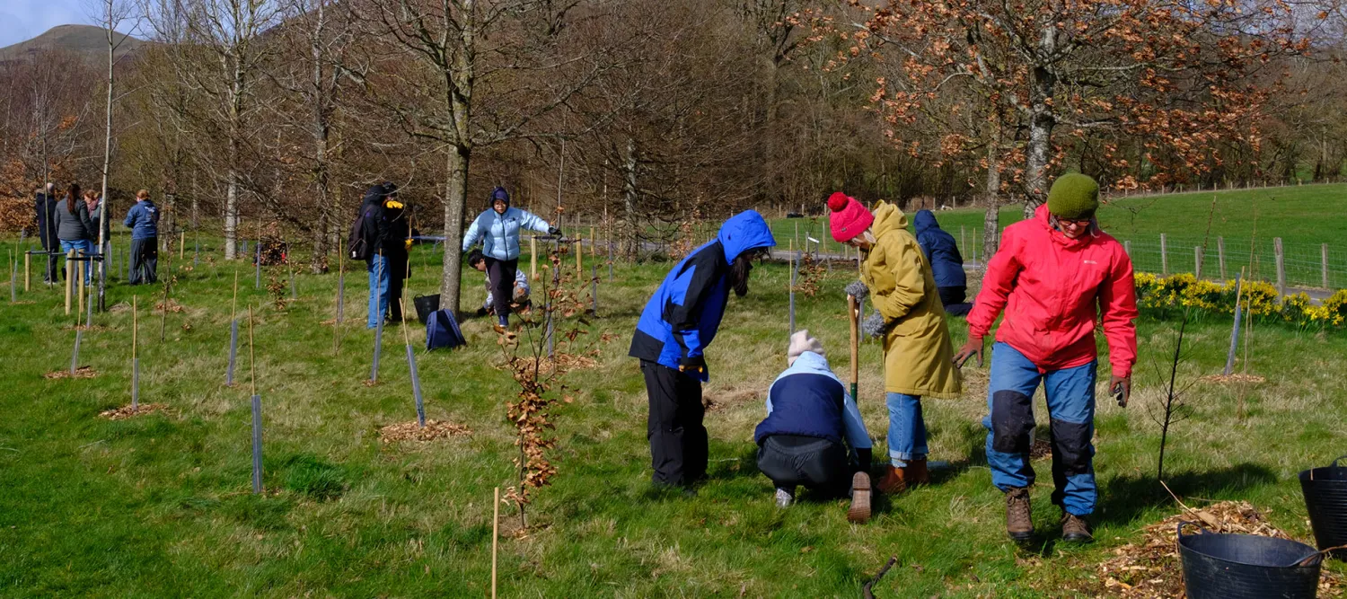 University of Edinburgh staff and students take part in the Big Dig 2026 by planting seedlings at Easter Bush campus
