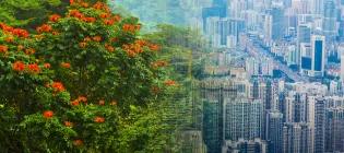 Our postgraduate certificate programmes