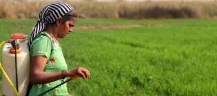 Key research projects