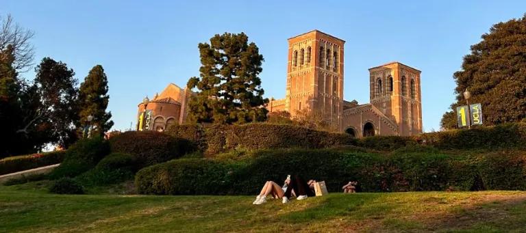 Students laying and reading in the sun on a green hill. The top of a large building is visible over bushes.