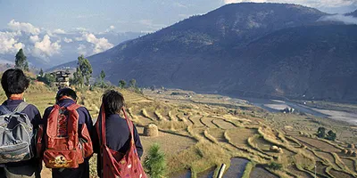 MSc Global Challenges