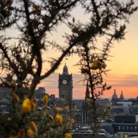A clock tower through branches at sunset.
