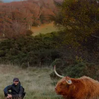 A person sitting in the grass next to a highland cow. Mountains, trees and bushes are visible in the background.