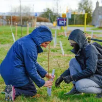 Staff and students plant trees for the Big Dig 2026