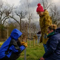 Staff and students plant trees for the Big Dig 2026
