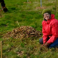 Staff and students plant trees for the Big Dig 2026