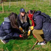 Staff and students plant trees for the Big Dig 2026