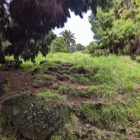 SWAY Photography Competition