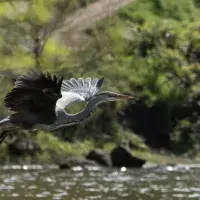 Photography competition 2023