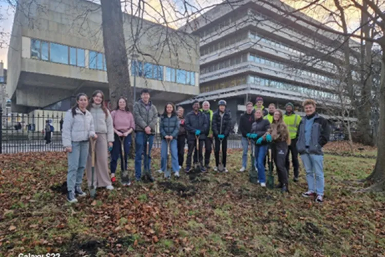 Bulb planting in George Square