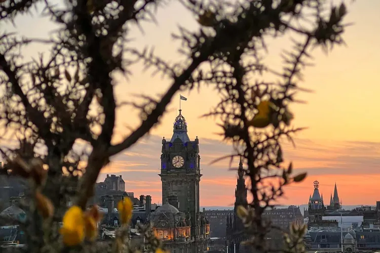 A clock tower through branches at sunset.