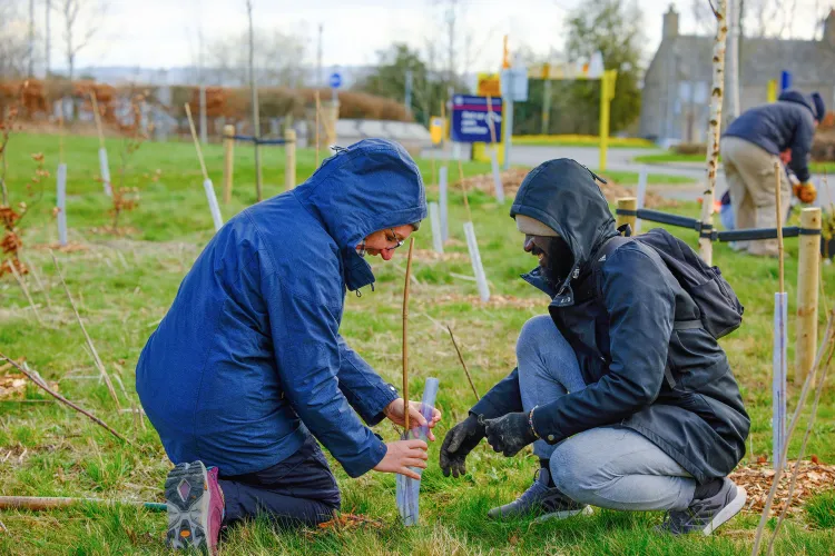 Staff and students plant trees for the Big Dig 2026