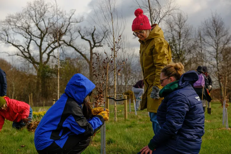 Staff and students plant trees for the Big Dig 2026