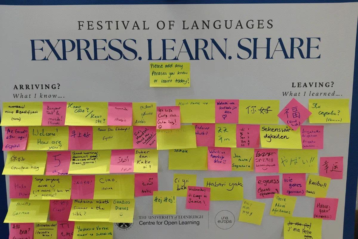 A board full of sticky notes of what I learned during the Festival of Languages
