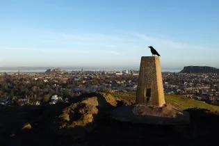 A crow perched at the summit of Blackford Hill