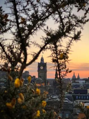 A clock tower through branches at sunset.
